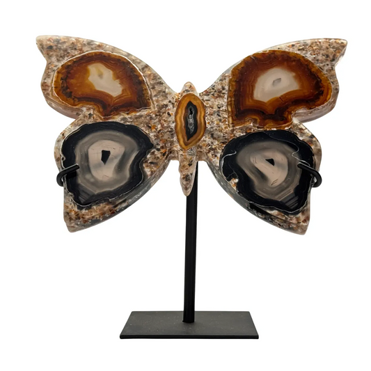 Vlinder agaat in resin op standaard