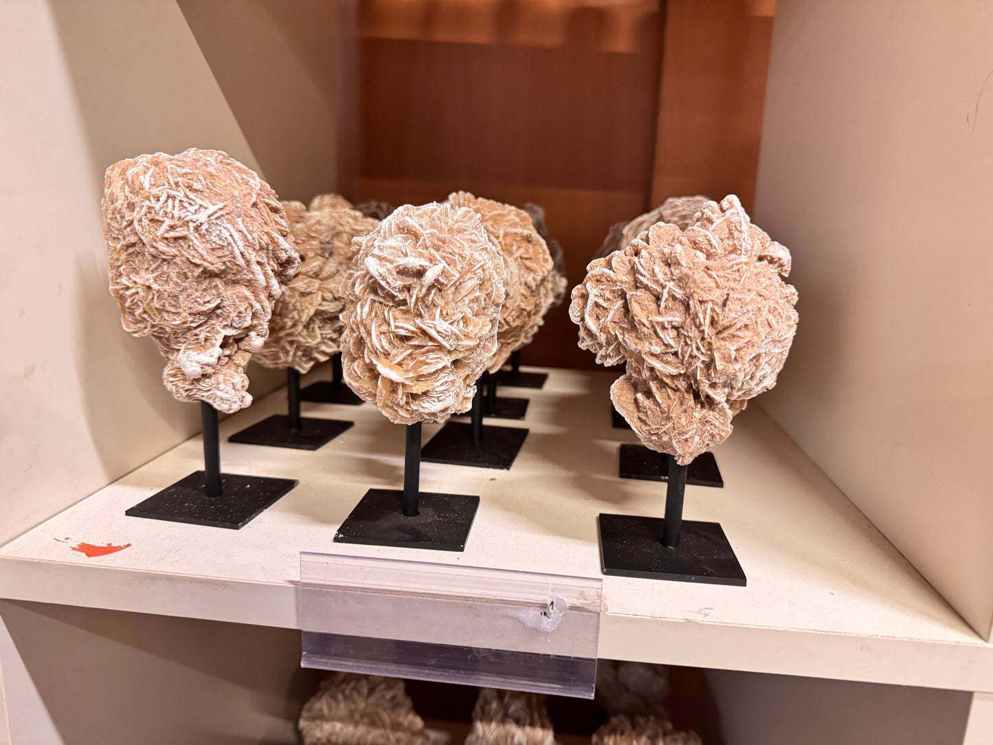 Woestijn roos op standaard