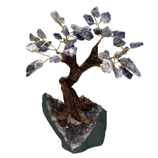 Mineralen boom van Sodaliet 15 cm