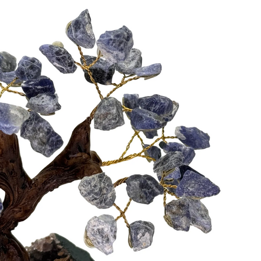 Mineralen boom van Sodaliet 15 cm