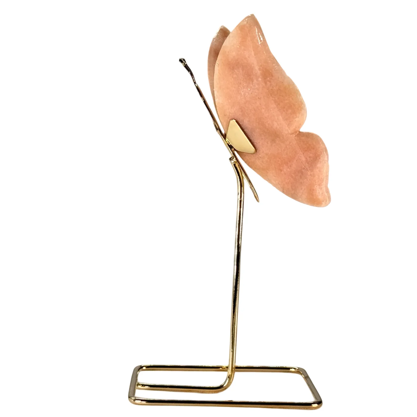 Vlinder van blauwe onyx/dolomiet op hoge standaard