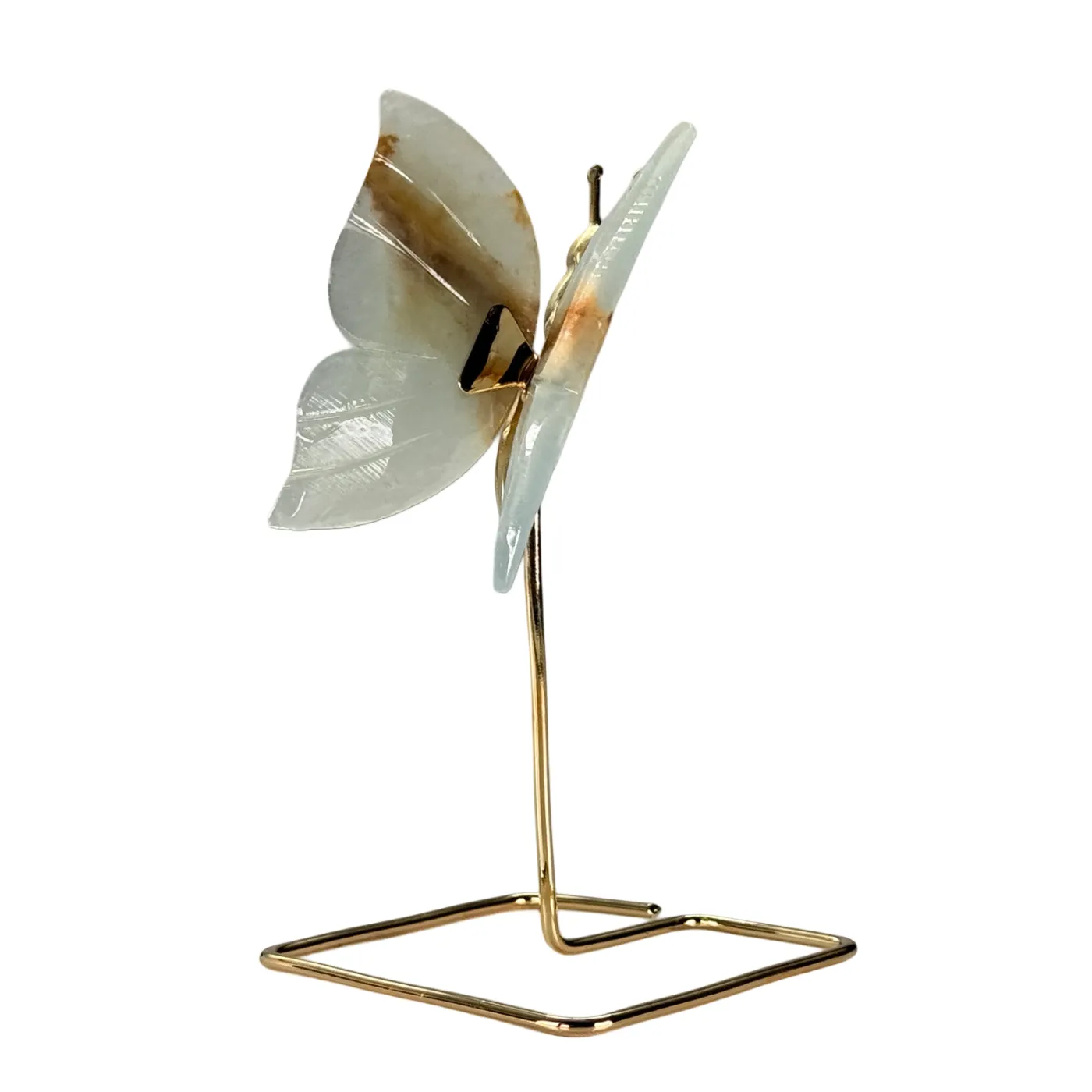 Vlinder van blauwe onyx/dolomiet op hoge standaard