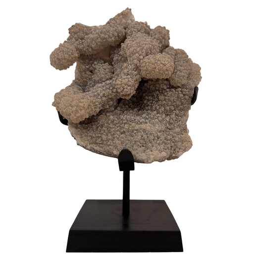 Stalactiet op houten standaard